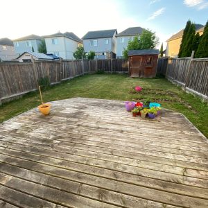 IMG-20240816-WA0003